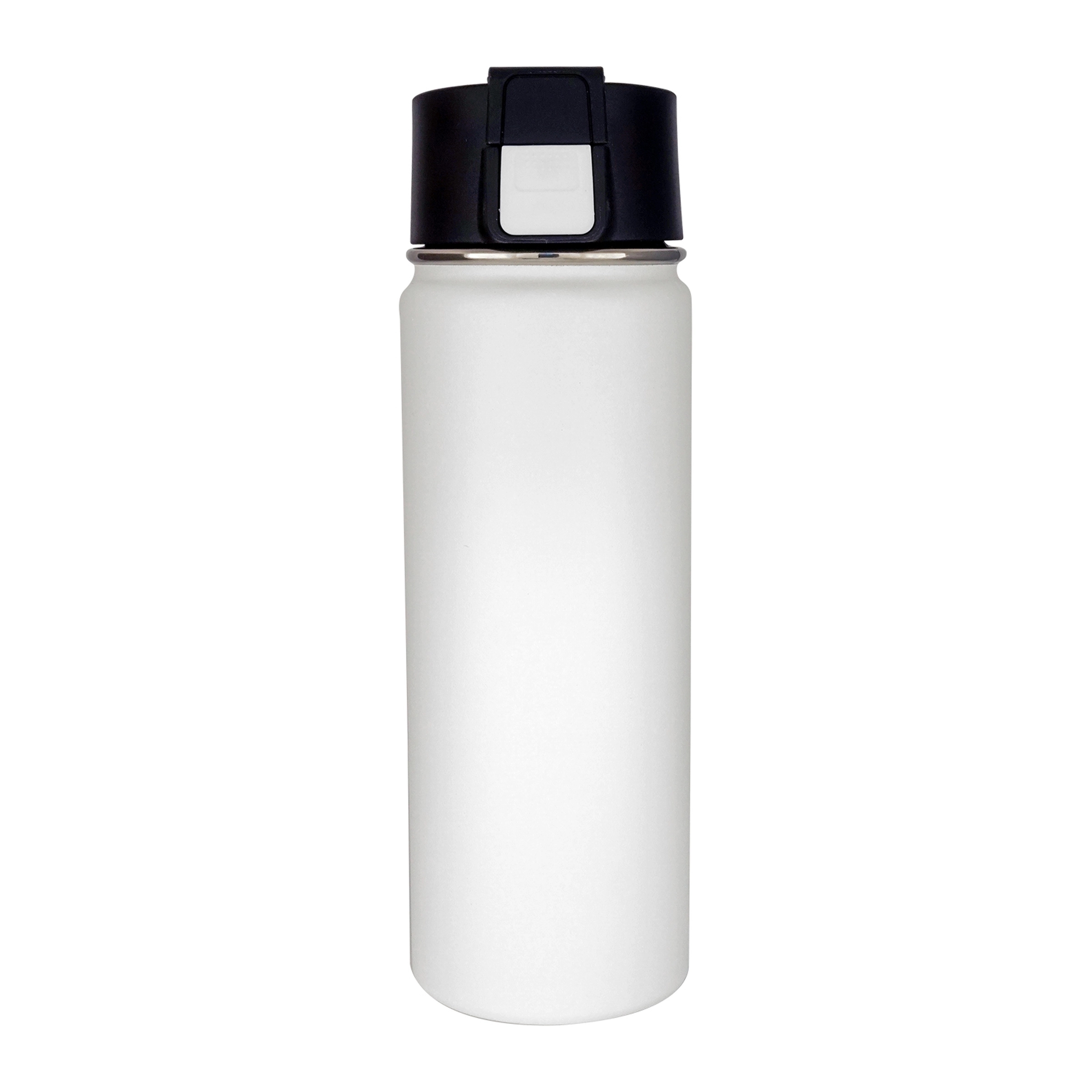 Iceberg Vacuum Bottle 11