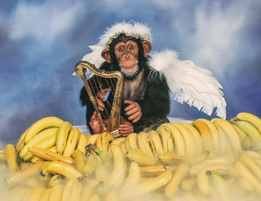 Triumph® Calendars Monkey Business Calendar 7
