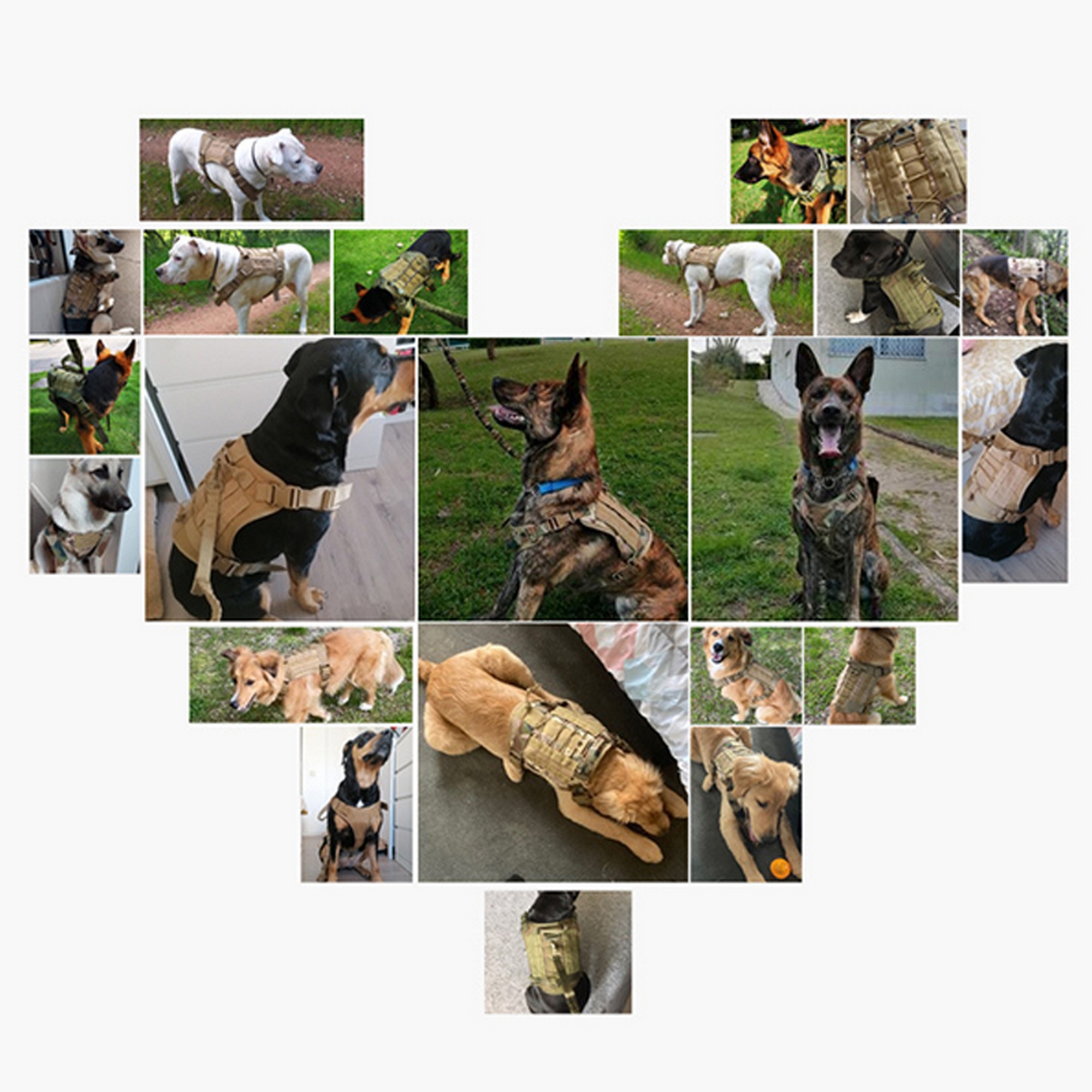 Dog Outdoor Tactical Training Harness 6