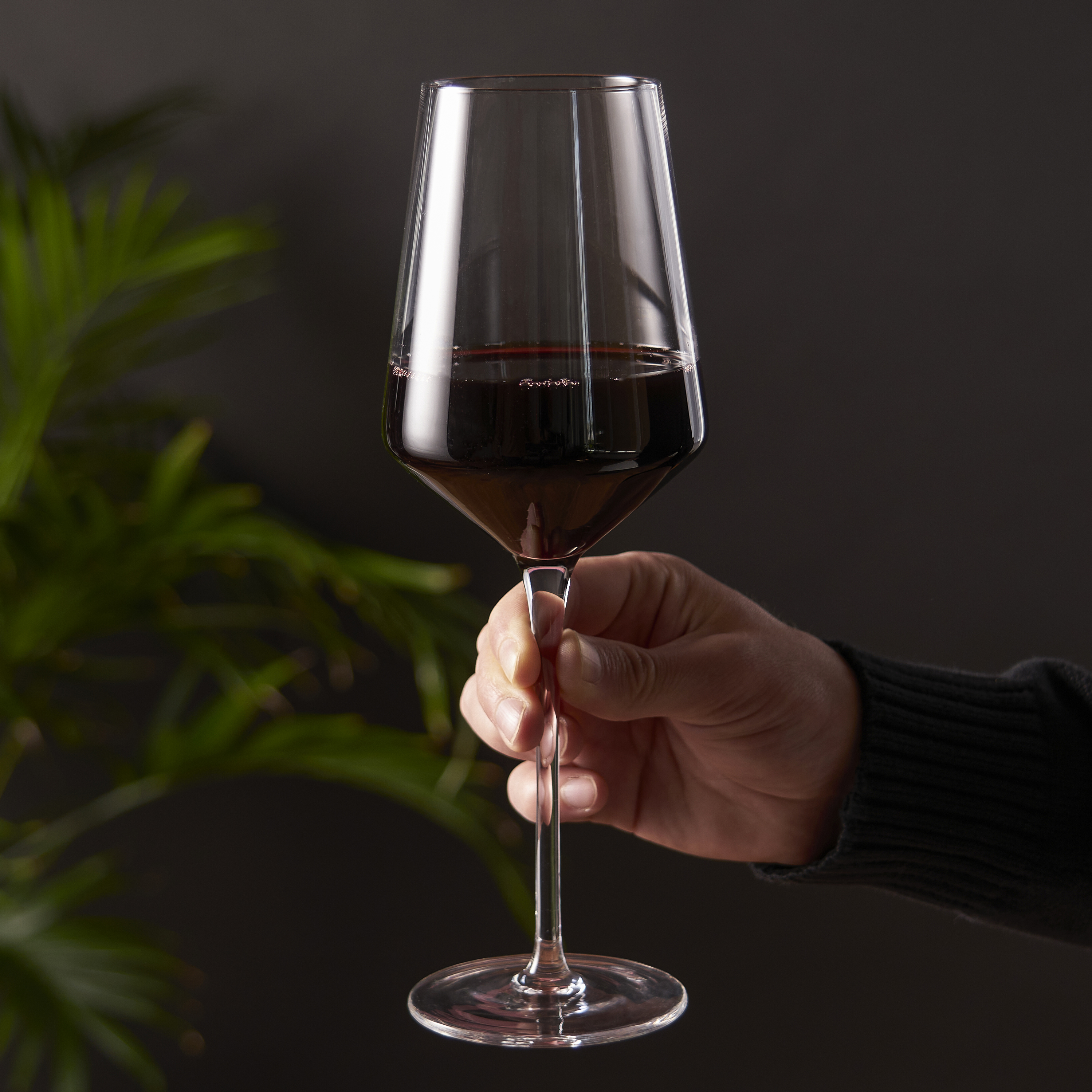 Viski® Raye Angled Crystal Bordeaux Glass, set of 2 3