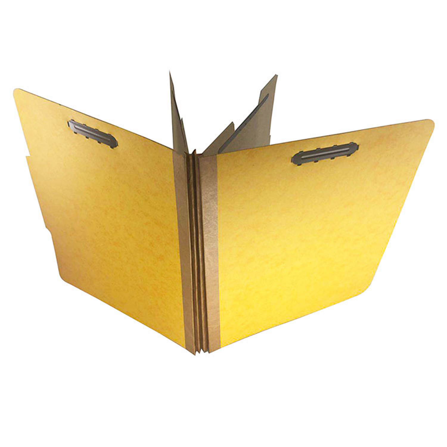 Two Divider Pressboard Classification File Folder 4