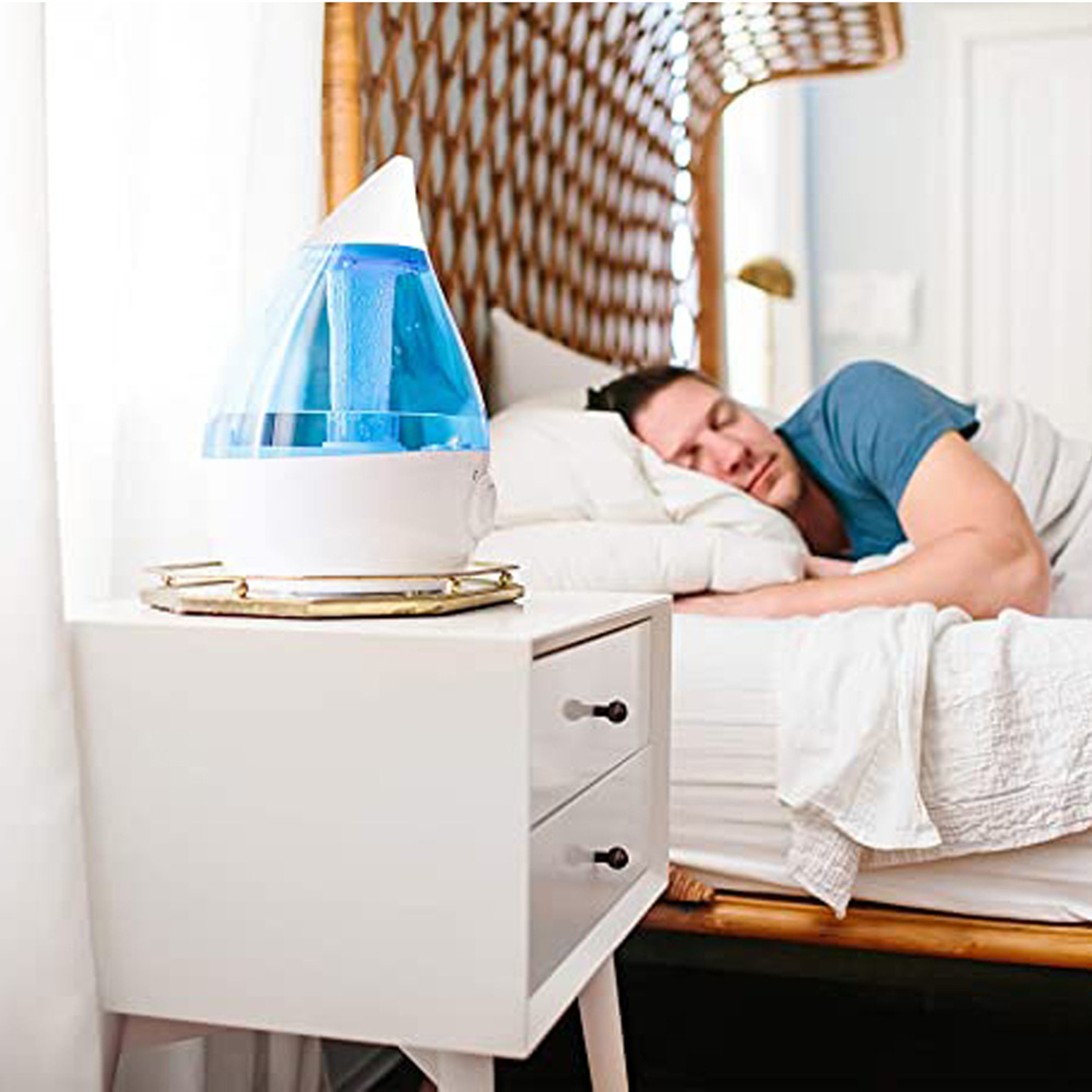 Adjustable 2L Ultrasonic Mist Humidifier 3