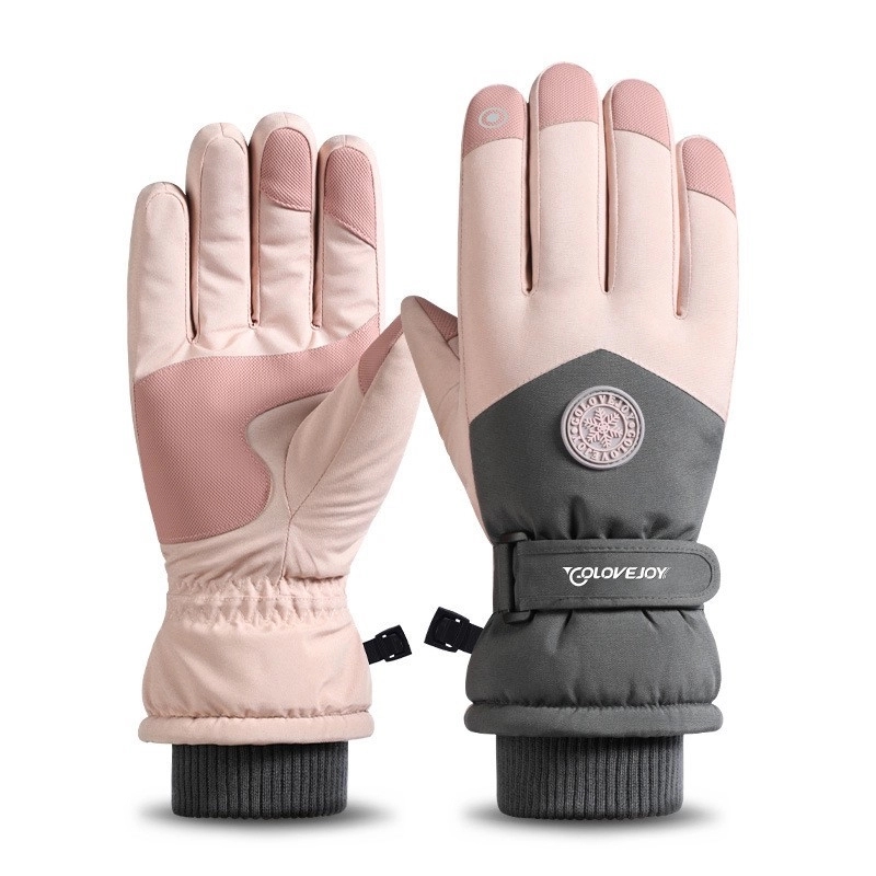 Ski Gloves 1