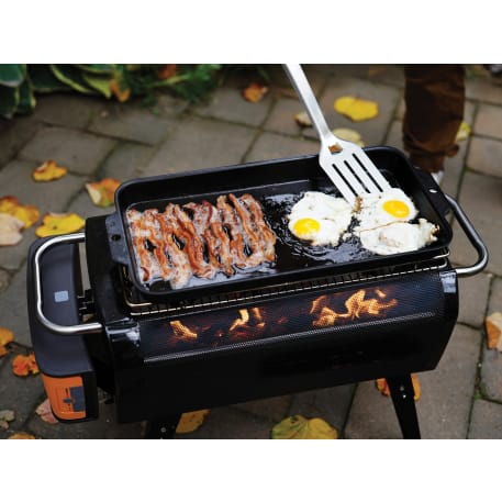 BioLite FirePit + 241