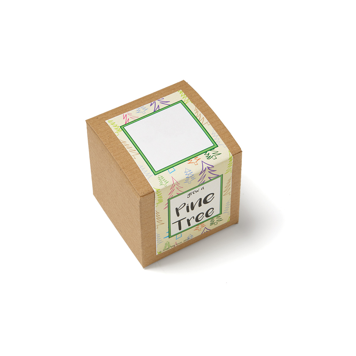 Pine Tree Growables Planter in Kraft Gift Box 7