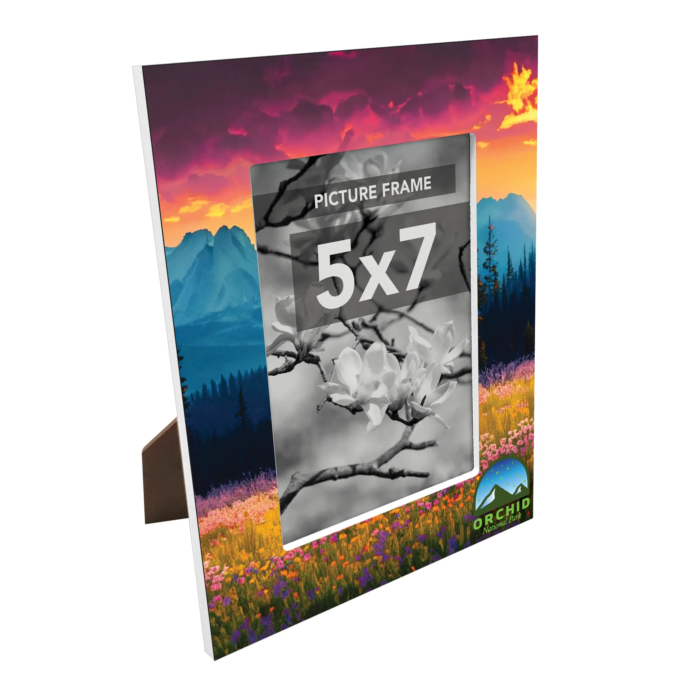 Recycled Wood Picture Frame