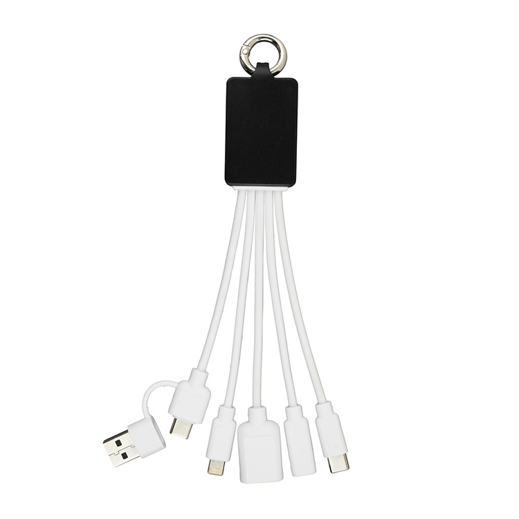 "FUSION" Charging Cable With 2 Port USB Hub 24
