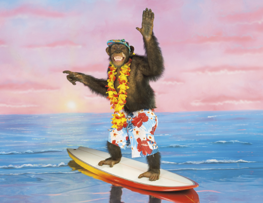 Good Value™ Monkey Mischief - Stapled Calendar 39