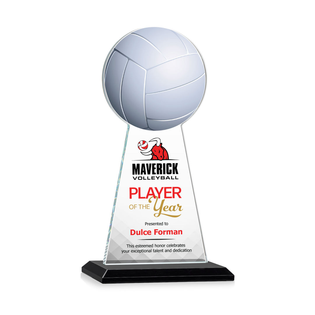 Edenwood Volleyball VividPrint™ Award - Black 14