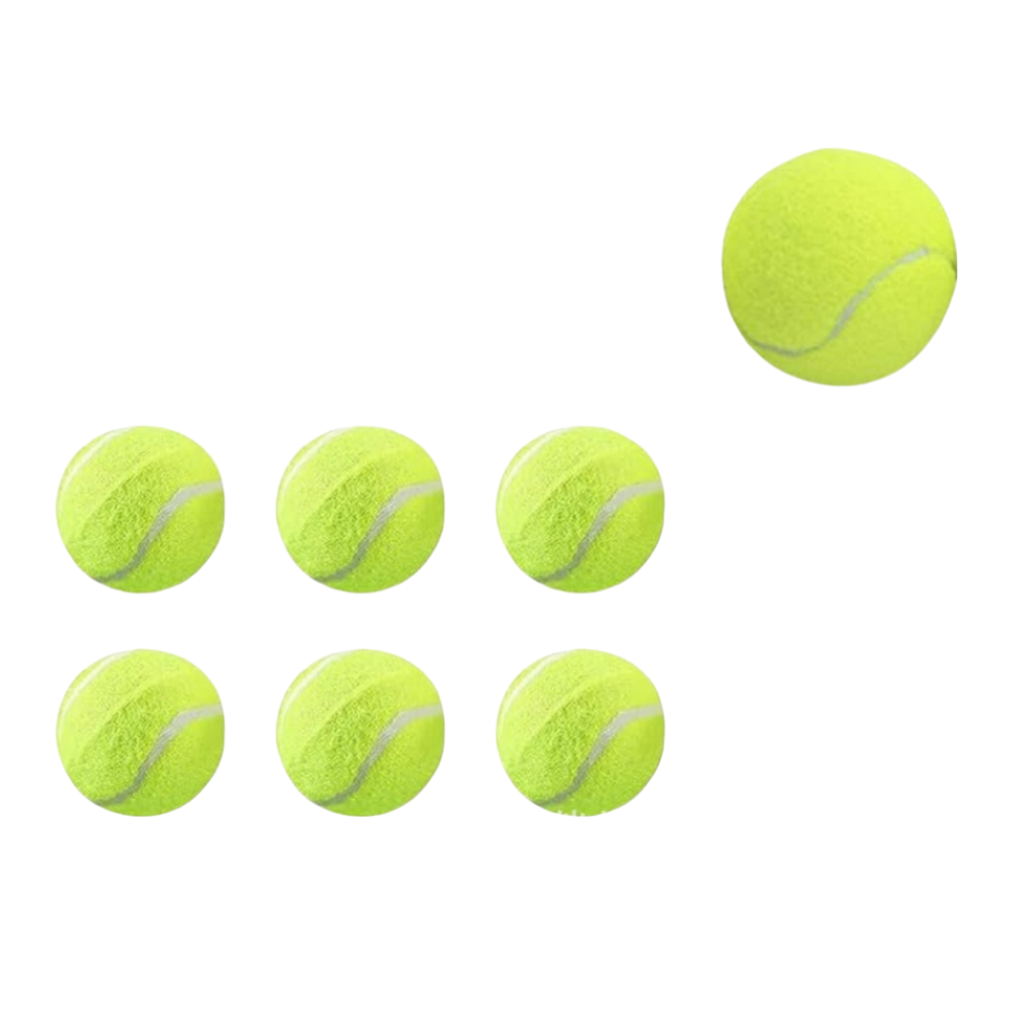 Training Pet Tennis Ball 1