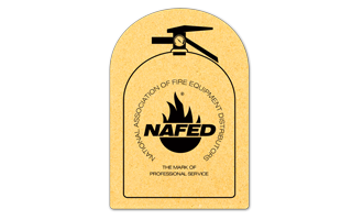 Fire Extinguisher Compressed Sponge 10