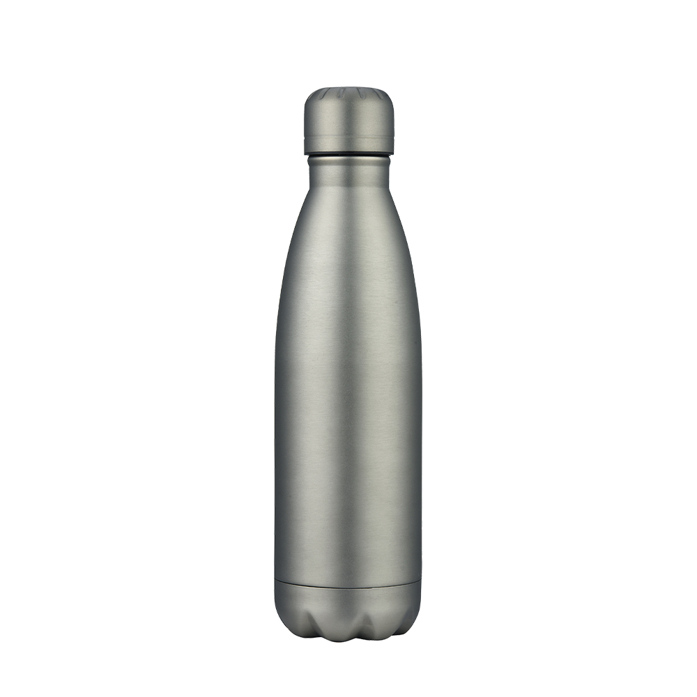 Slate 17oz Vaccuum Bottle