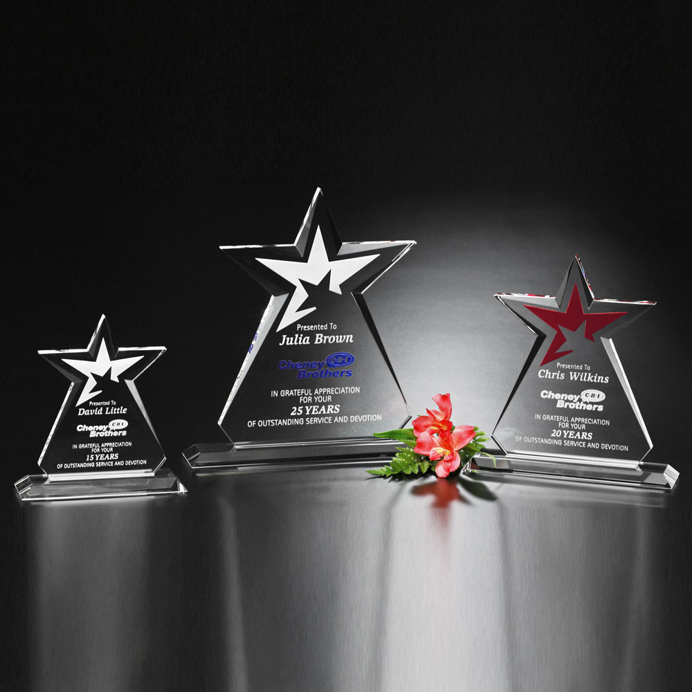 Guardian Award 4