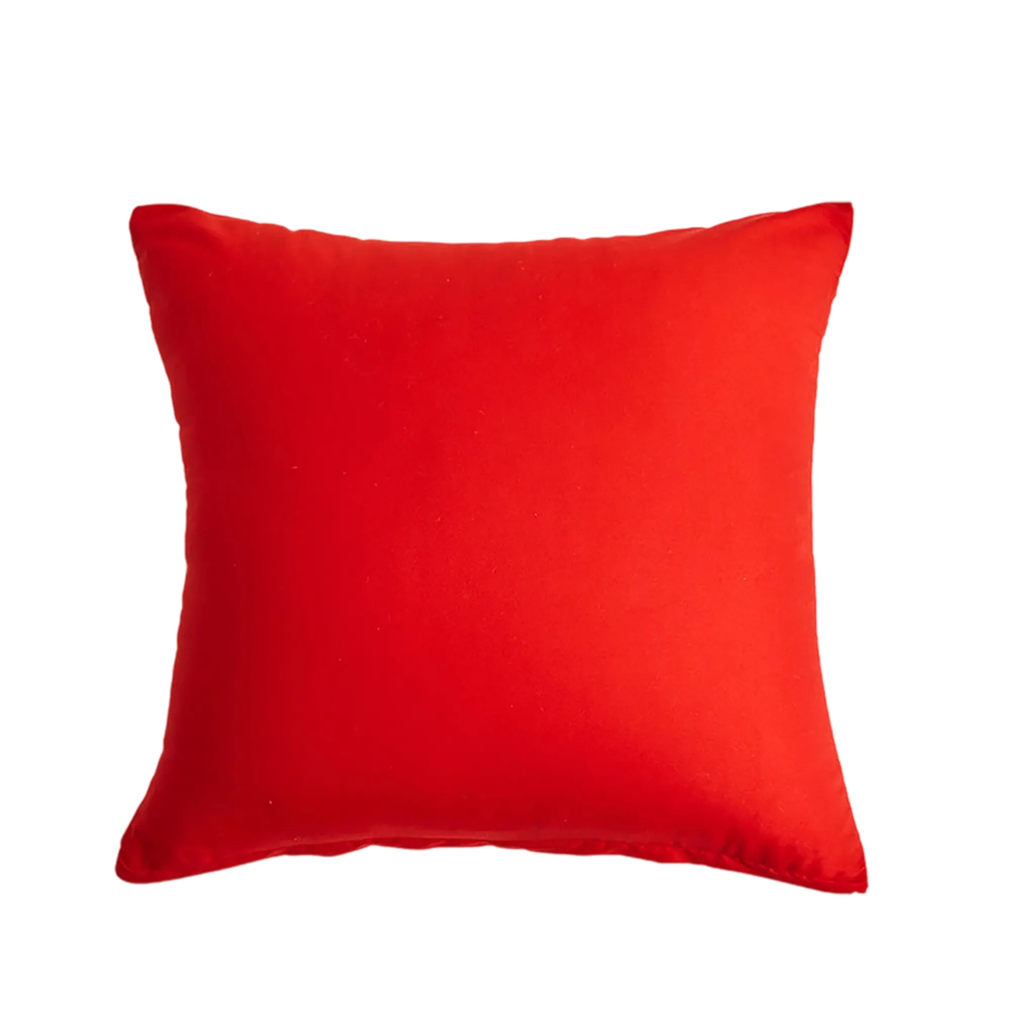 Velvet 18x18 Pillow Cover 21