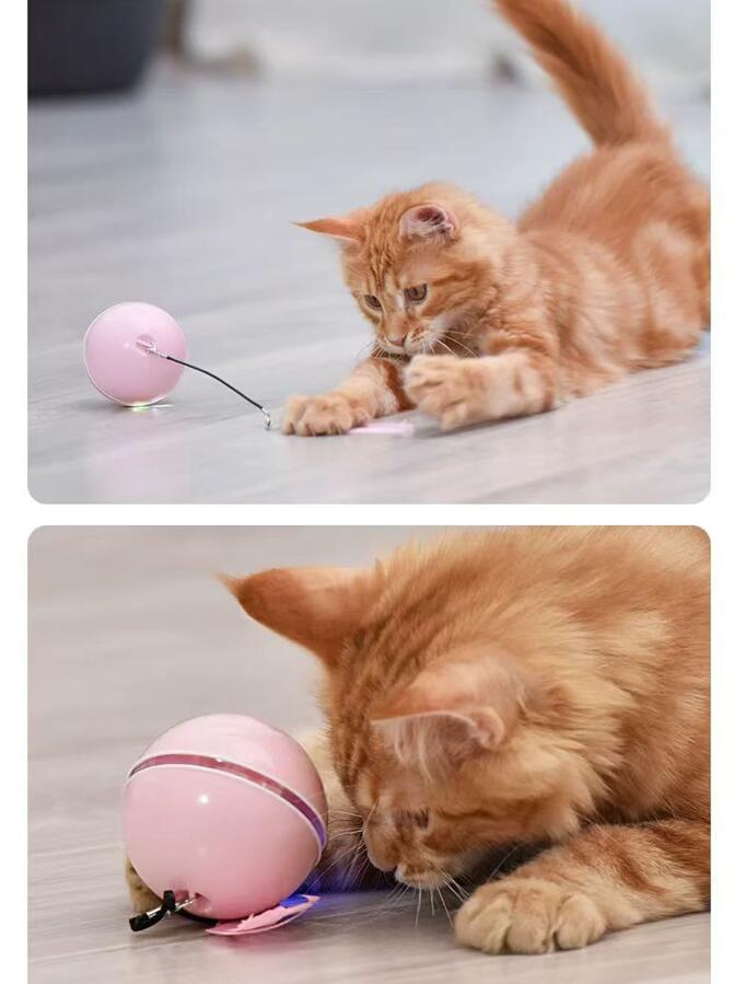 Interactive Cat Toys Ball With Led Light 3