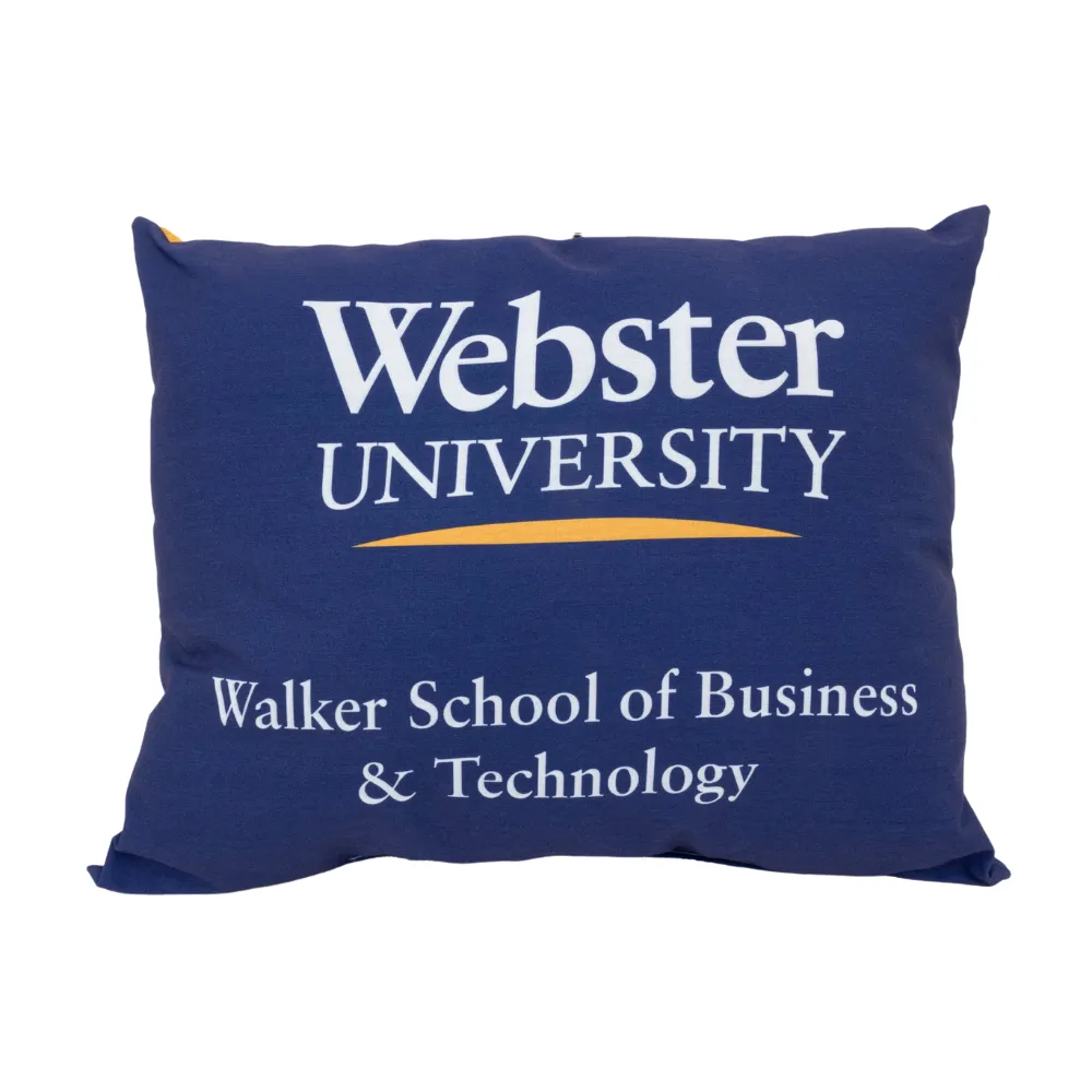 Square Lumbar Pillow 6