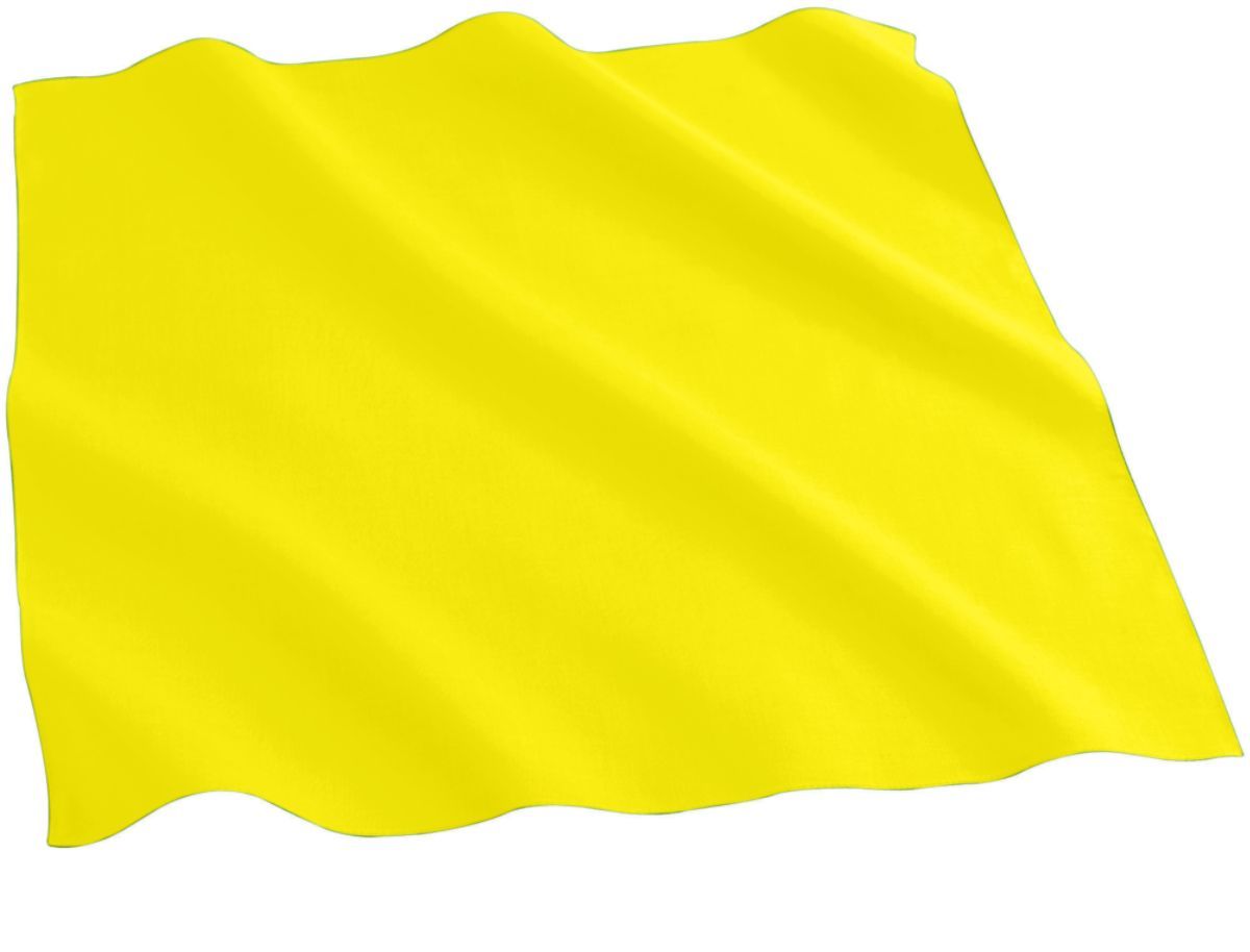 Cotton Bandana 9