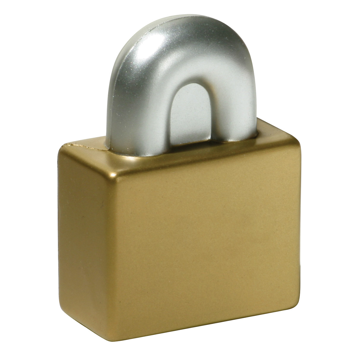 Padlock Stress Reliever 6