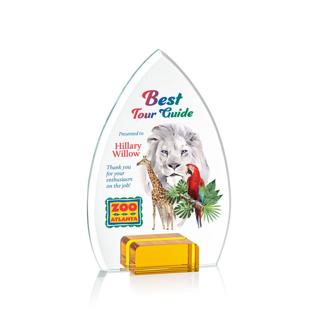 Aylin VividPrint™ Award - Amber 2