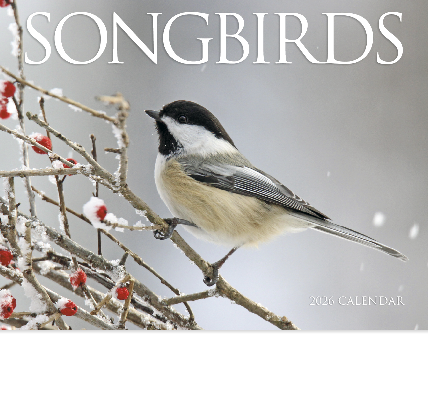 HotLine® Products Songbirds Appointment Calendar - Stapled