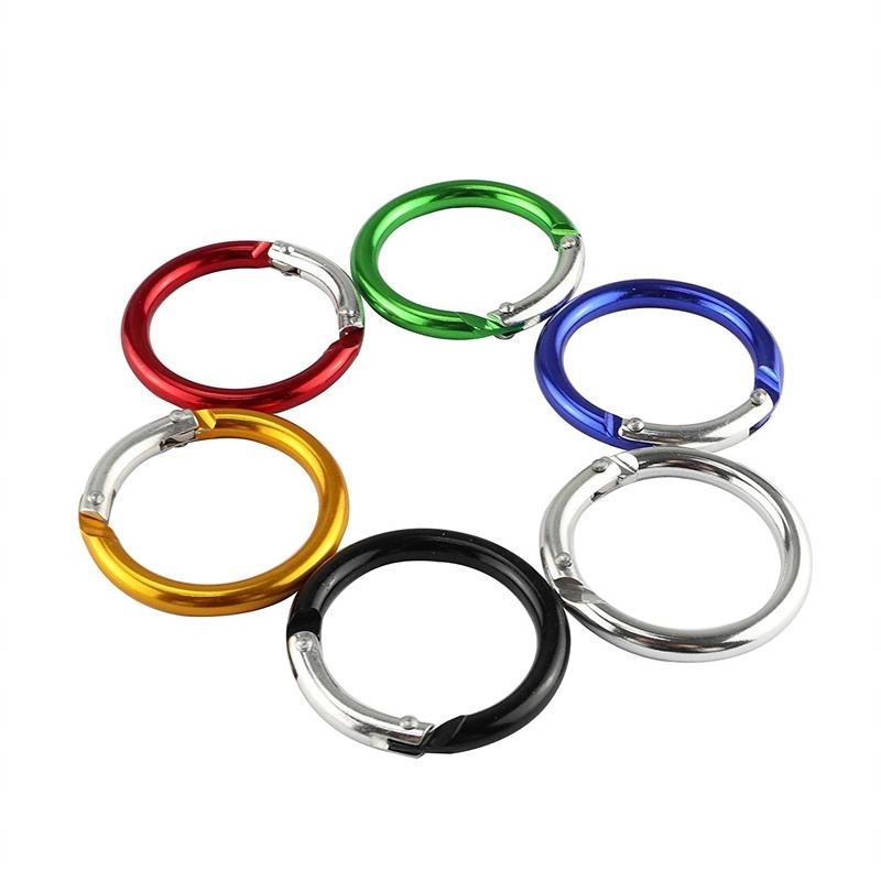 Circle Carabiner 1