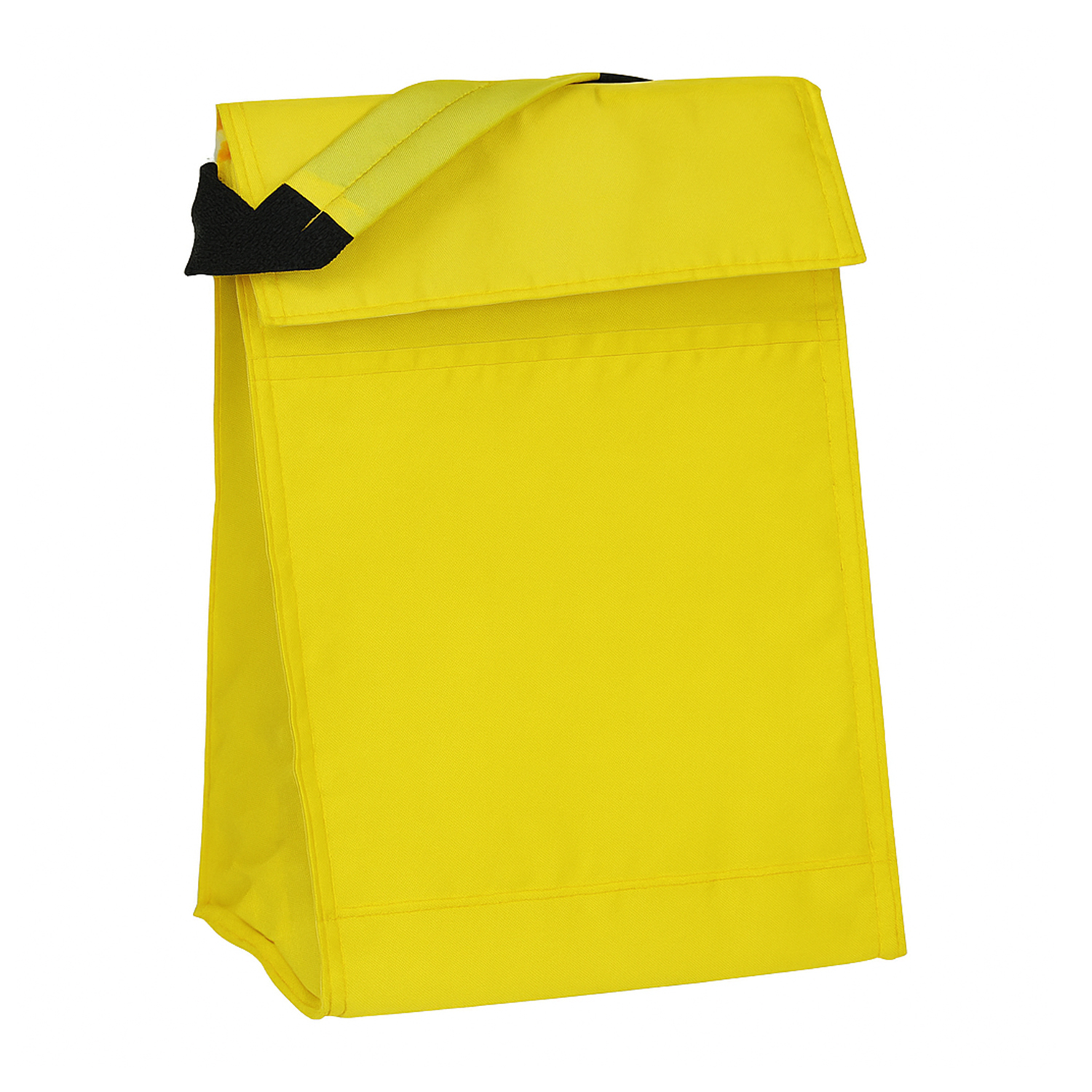 Insulated Lunch Carrier Bag 6