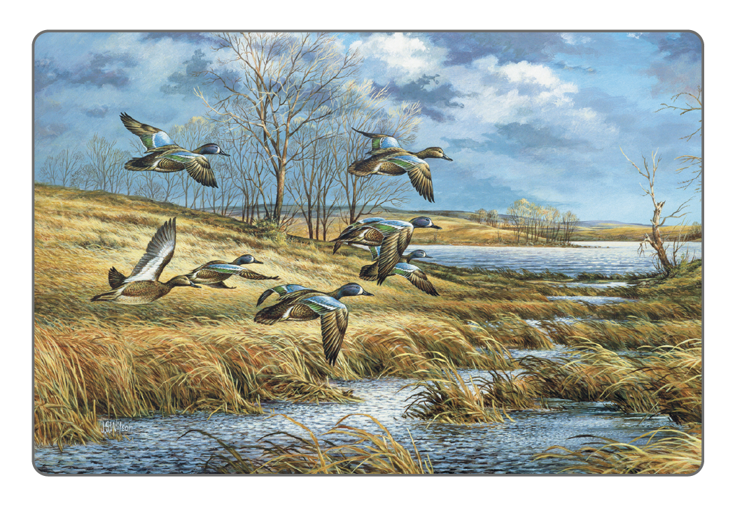 Triumph® Calendars Wildlife Art Pocket Calendar 54