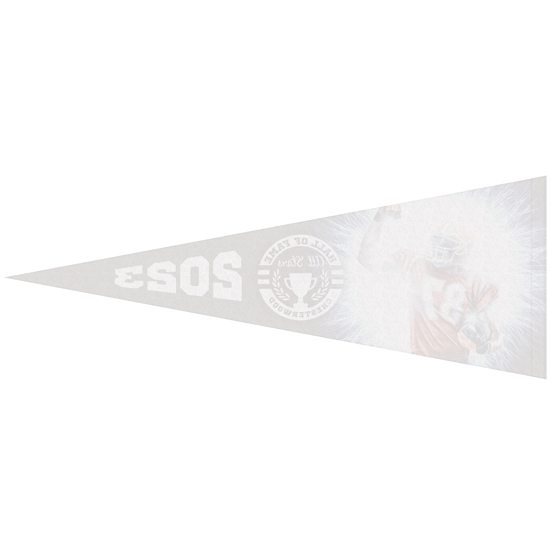 9" x 24" Custom Printed Soft Felt Pennant 7