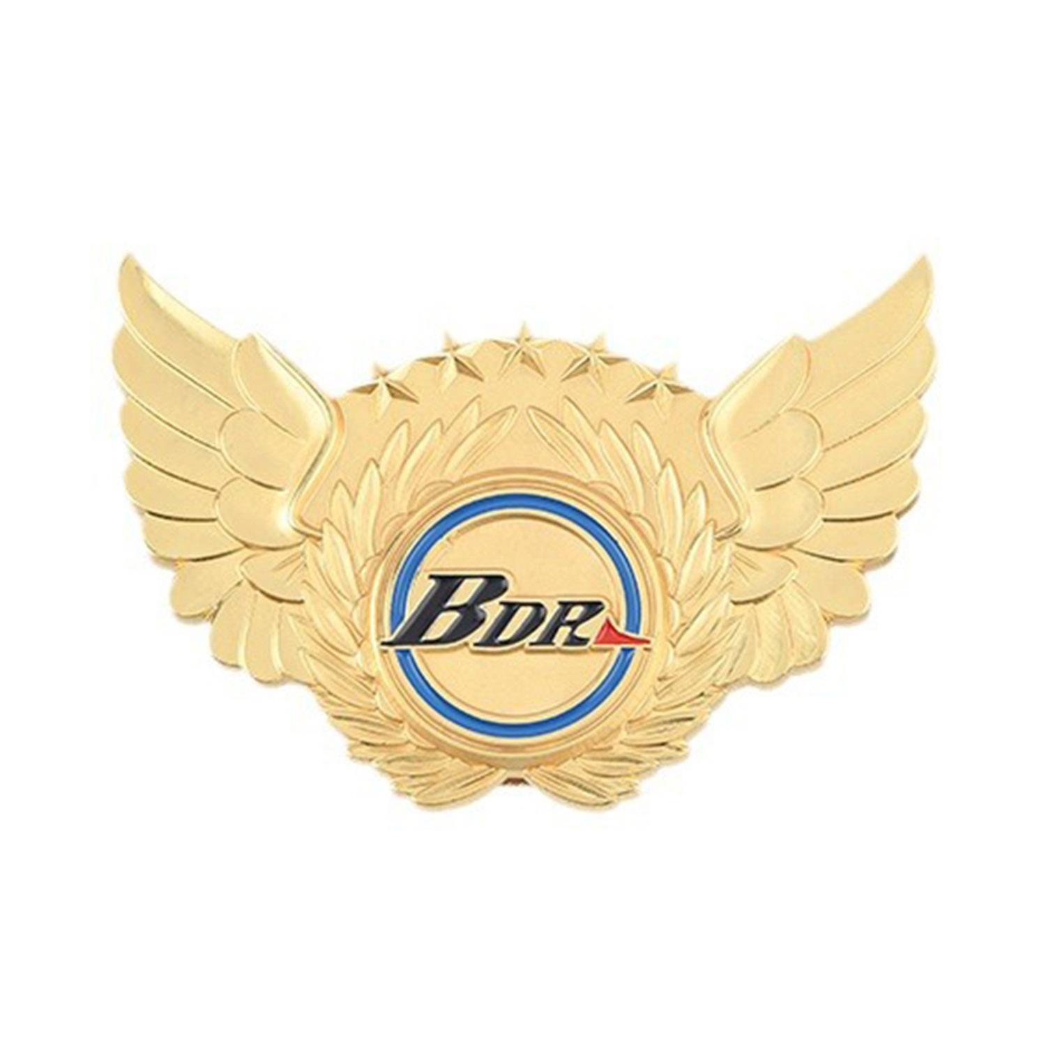 Customized metal brooch badges 2