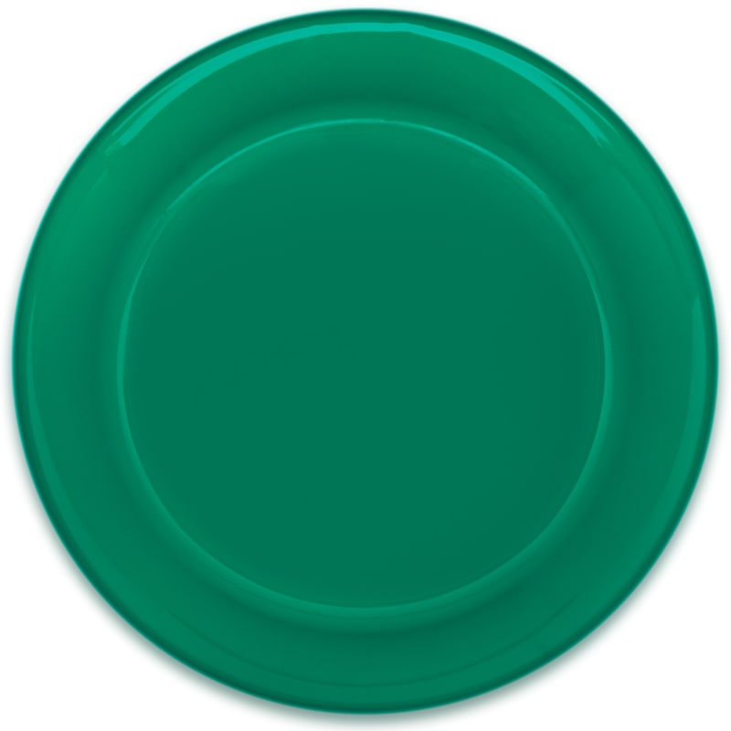 9.25" Custom Flying Discs 24