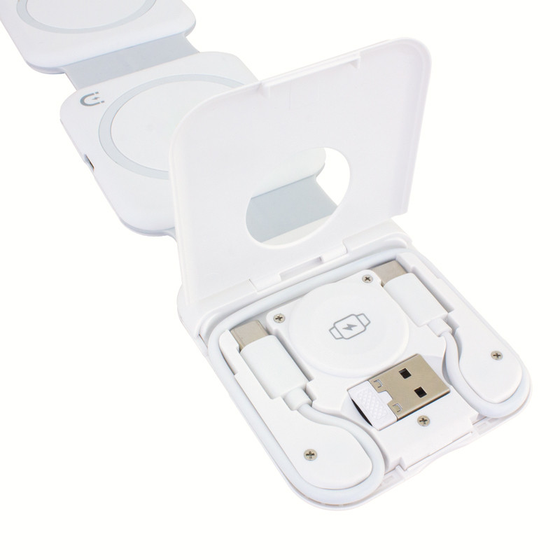 Chi-Charge Snap and Wall Charger in Zipper Case 10