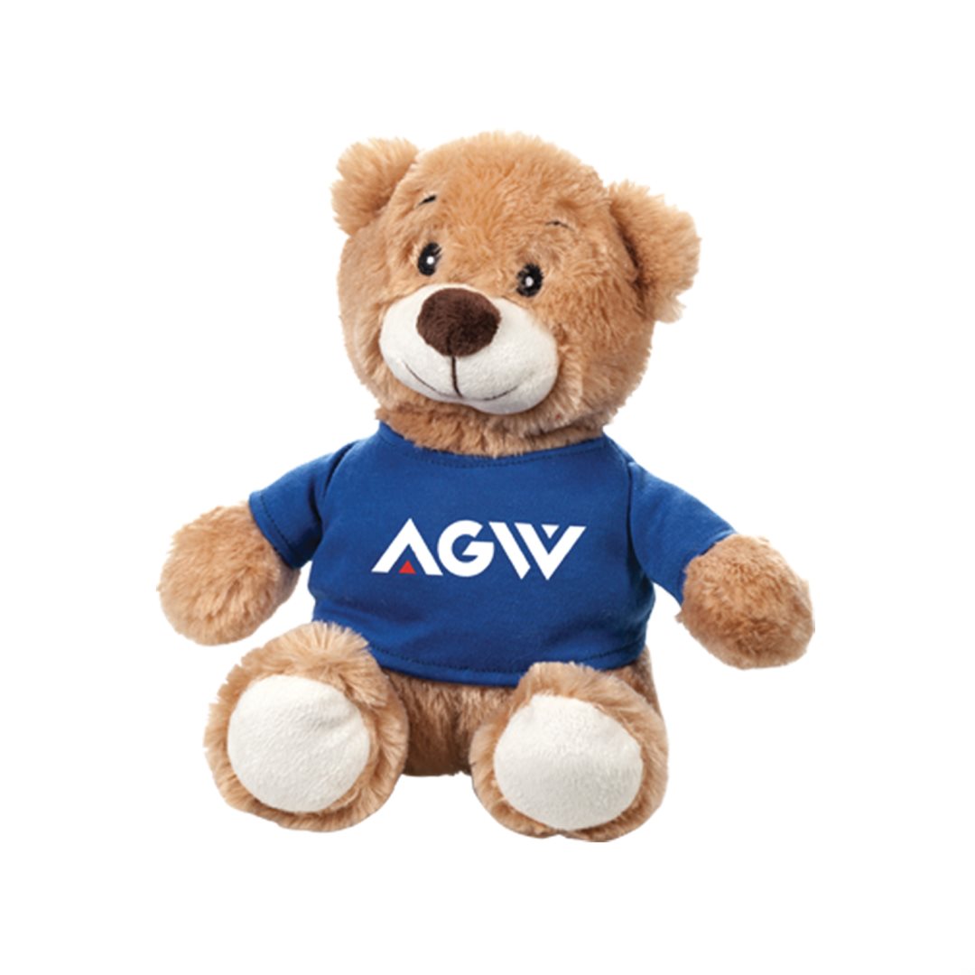 Chester the Teddy Bear (with T-Shirt) 8