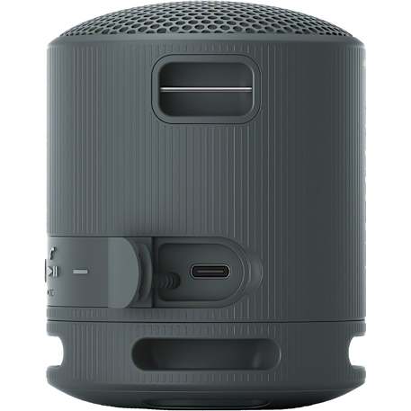 Sony SRS-XB100 Bluetooth Speaker 10