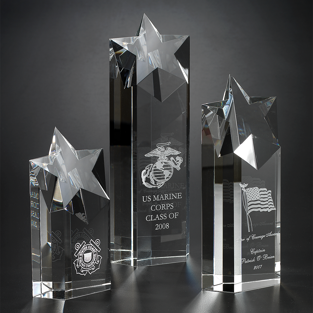 STARLITE AWARD MEDIUM 2