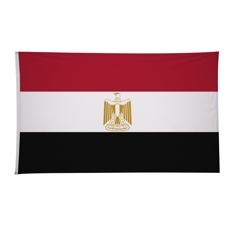 6' x 10' International Flags 214