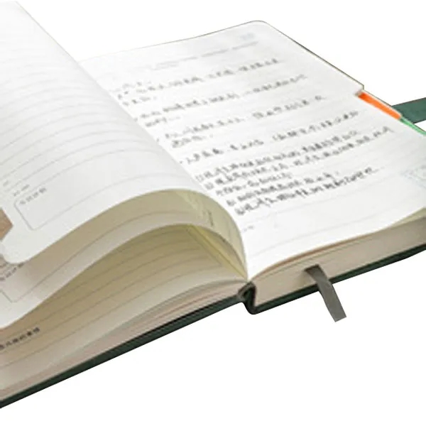 A5 Customized Buckle Schedule Book 5