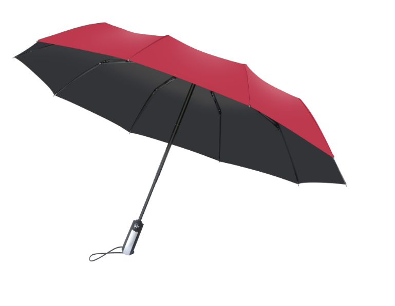 Ten Bone Automatic Umbrella 2