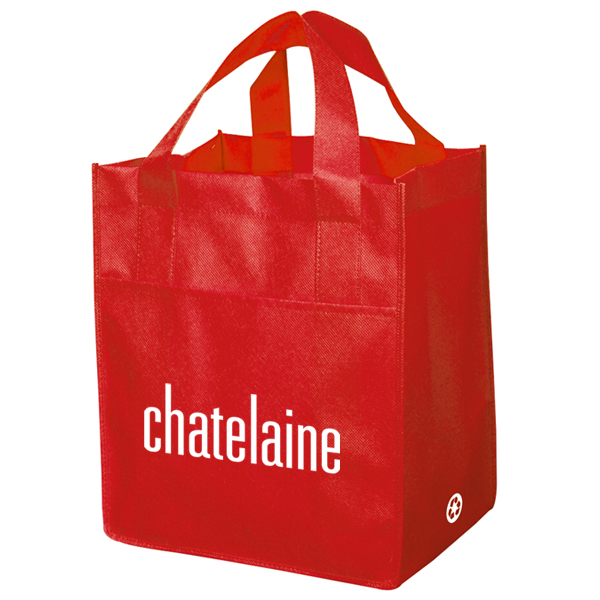 Non Woven Carry All Bag 2