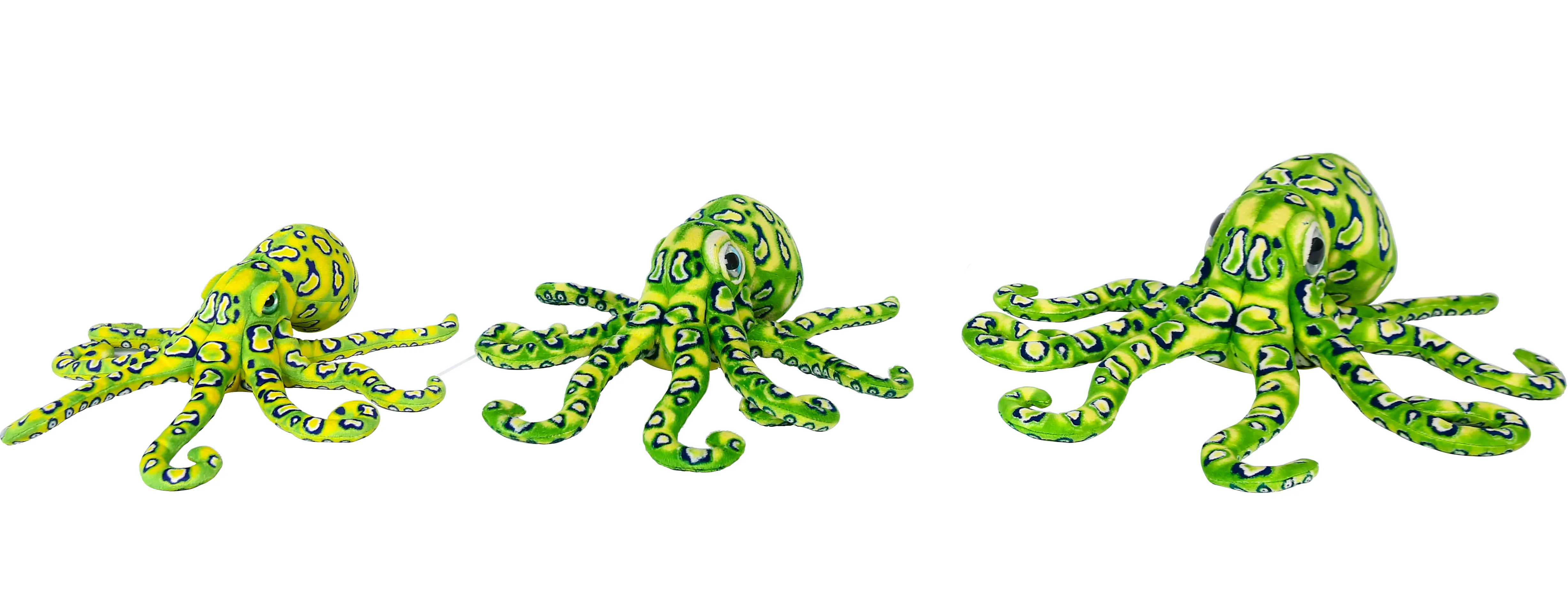 Octopus Three Sizes 2