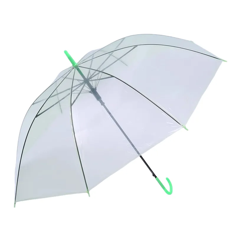 Transparent Umbrella 5