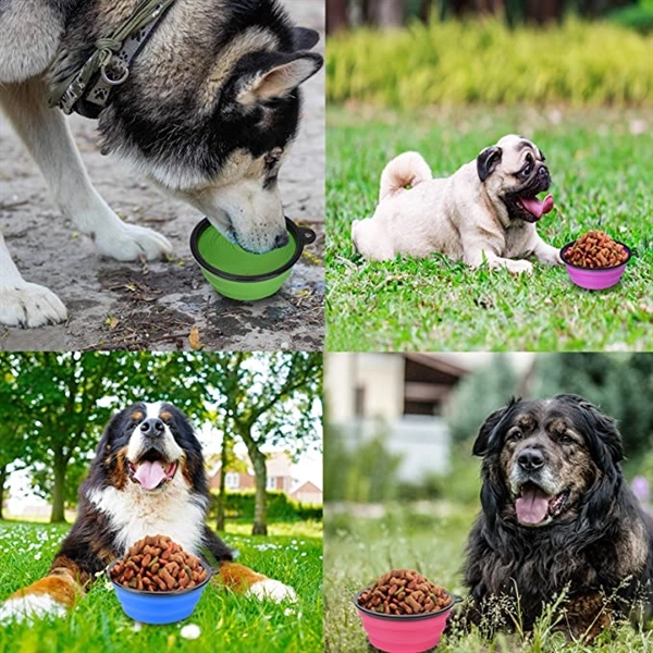Collapsible Silicone Pet Bowl 3