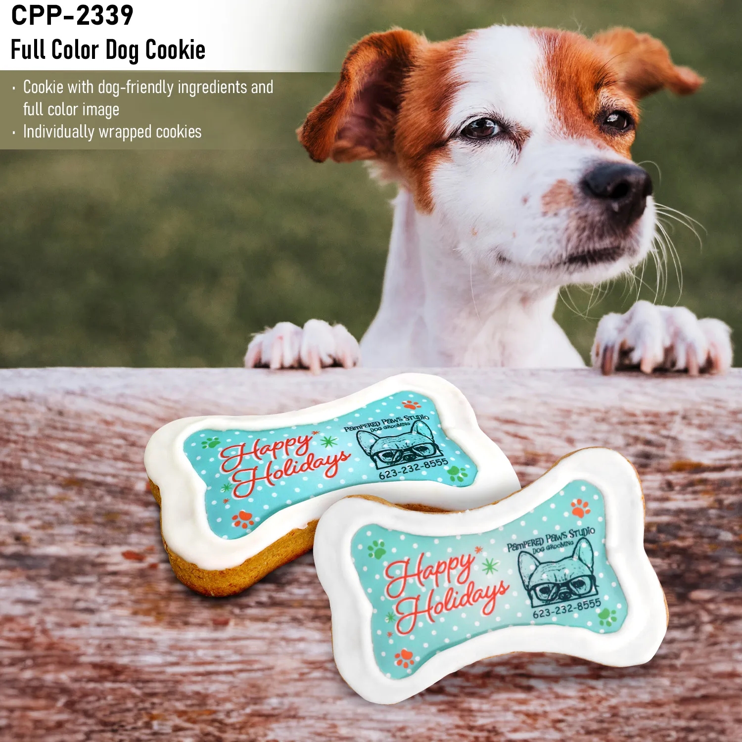 Full Color Dog Biscuit 7