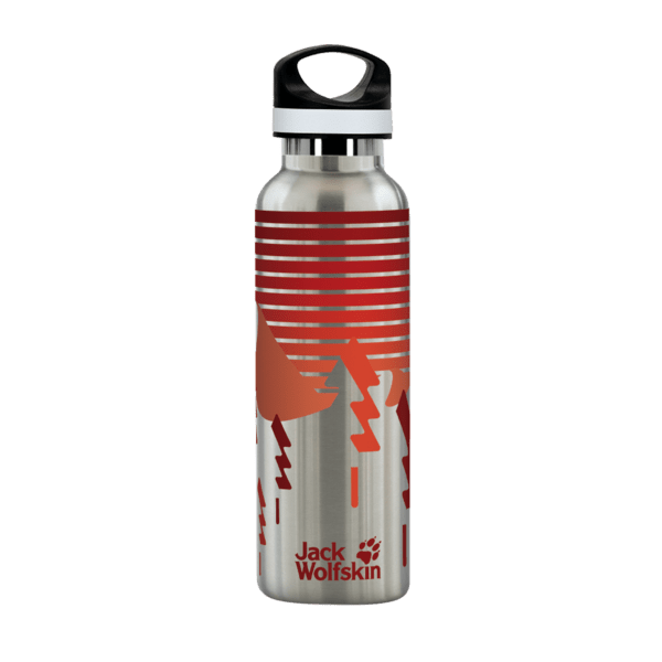20 oz. Basecamp Tundra Bottle with Screw Top Lid 173