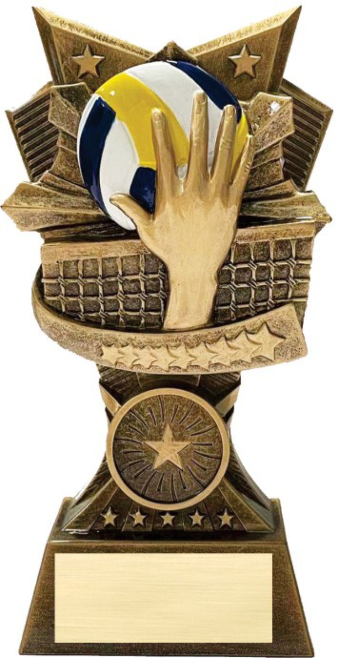 Volleyball 3D Design Resin Award 2