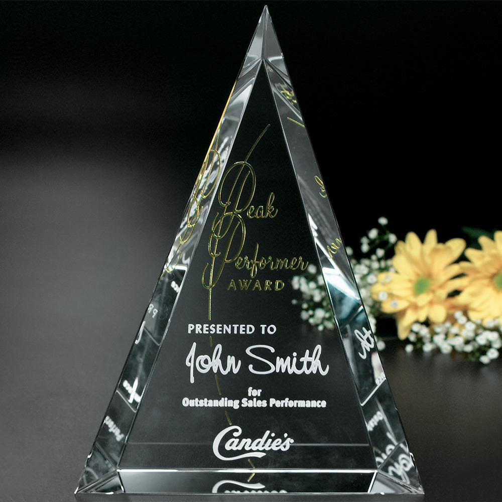 Palisade Award 1