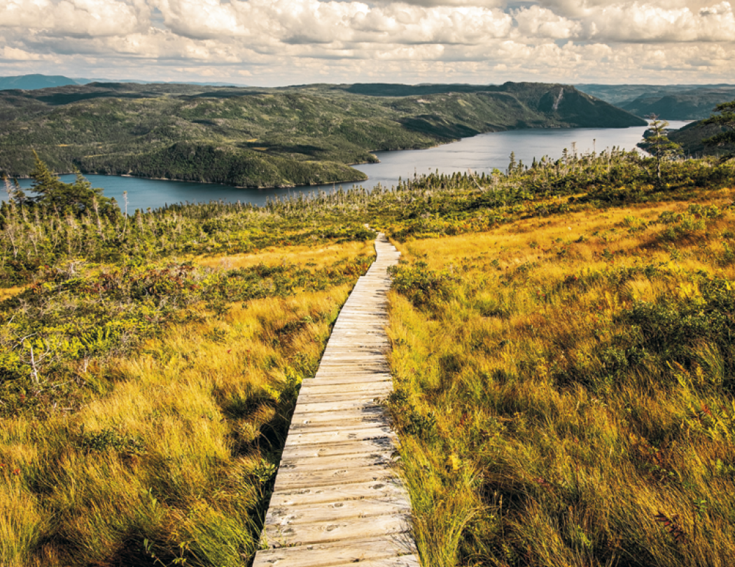 Good Value™ Canadian National Parks - Spiral Calendar 1