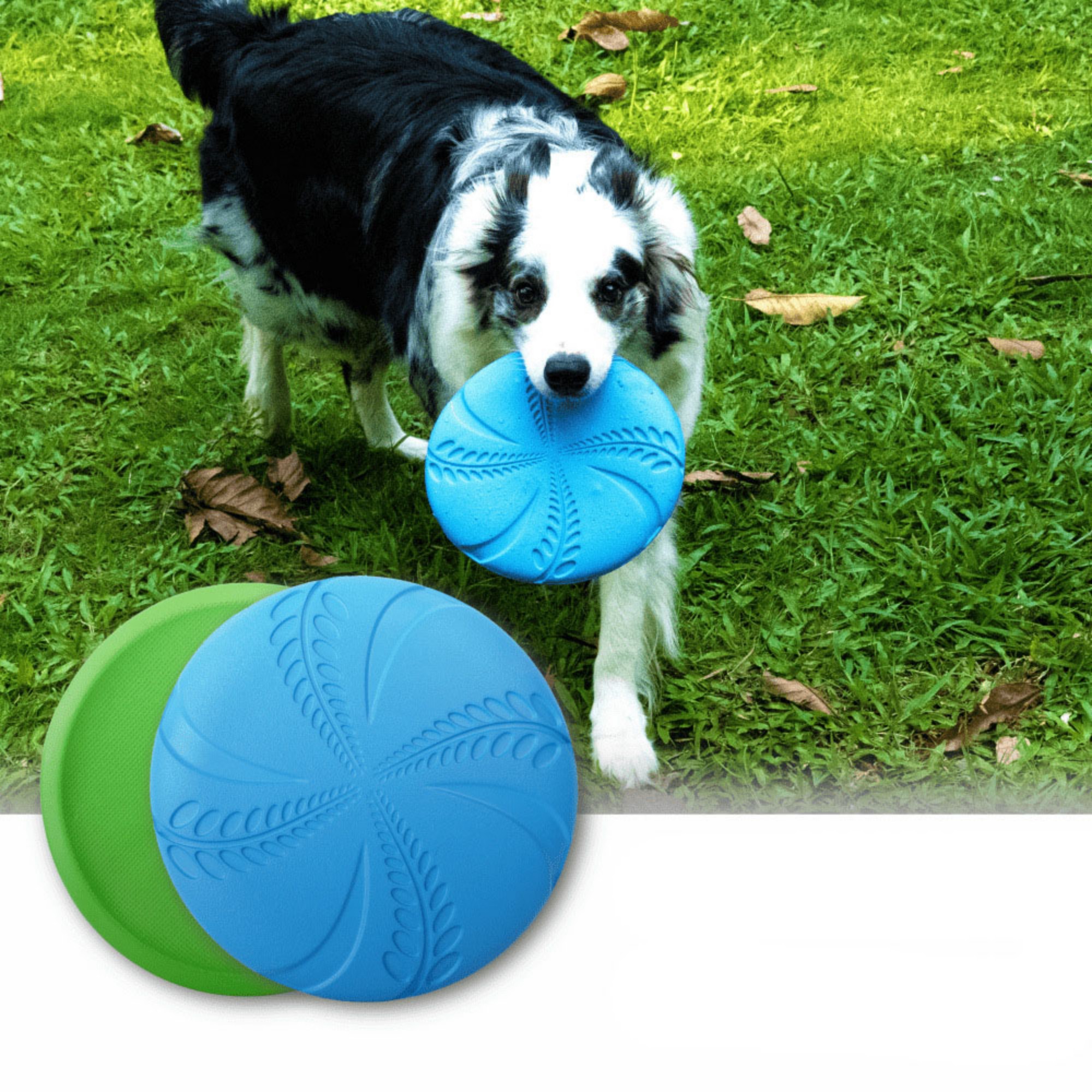 EVA Dog Training Throwing Disc 3