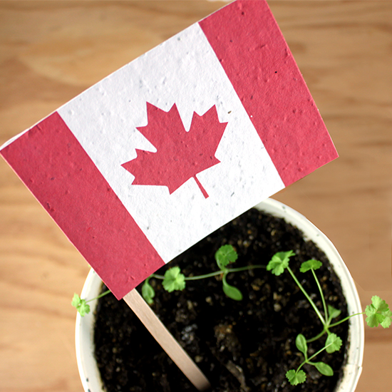 Canadian Seed Paper Promotional Flags 1