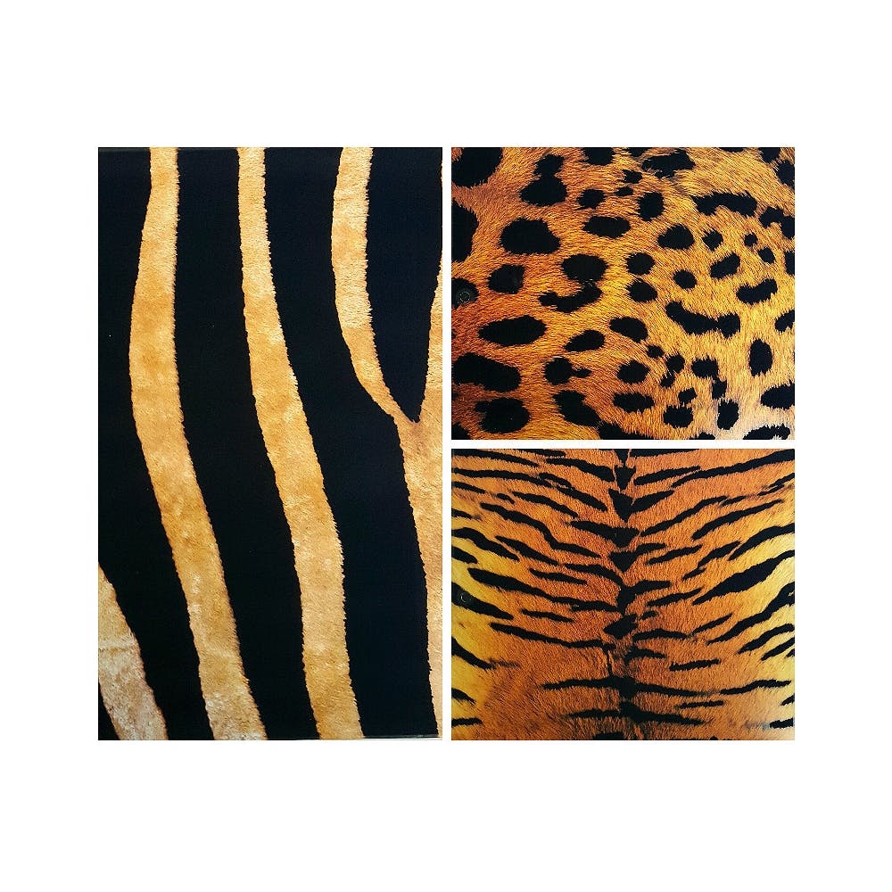 2 Pocket Folders - 3 Animal Prints 1