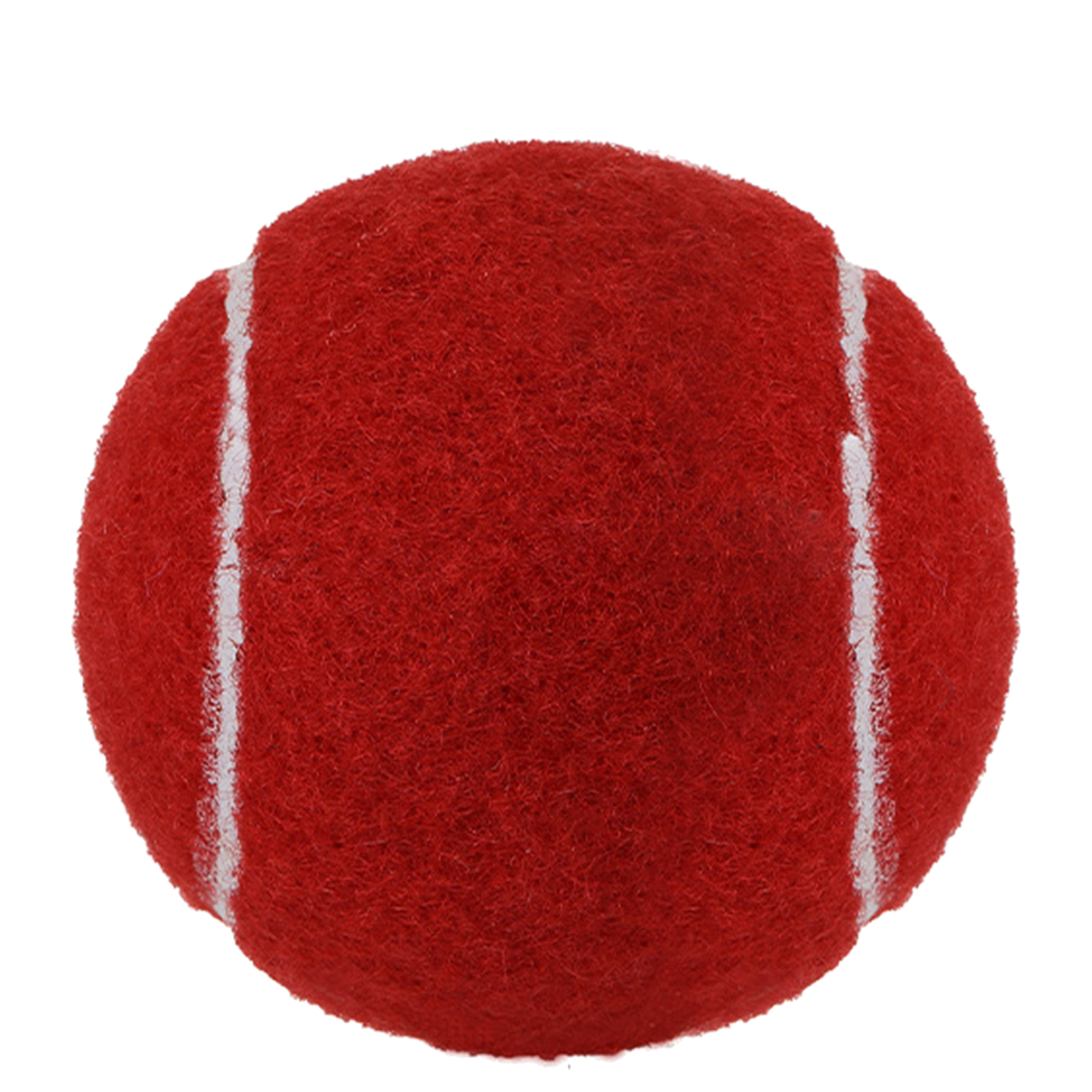 Customizable Dog Play Ball 6